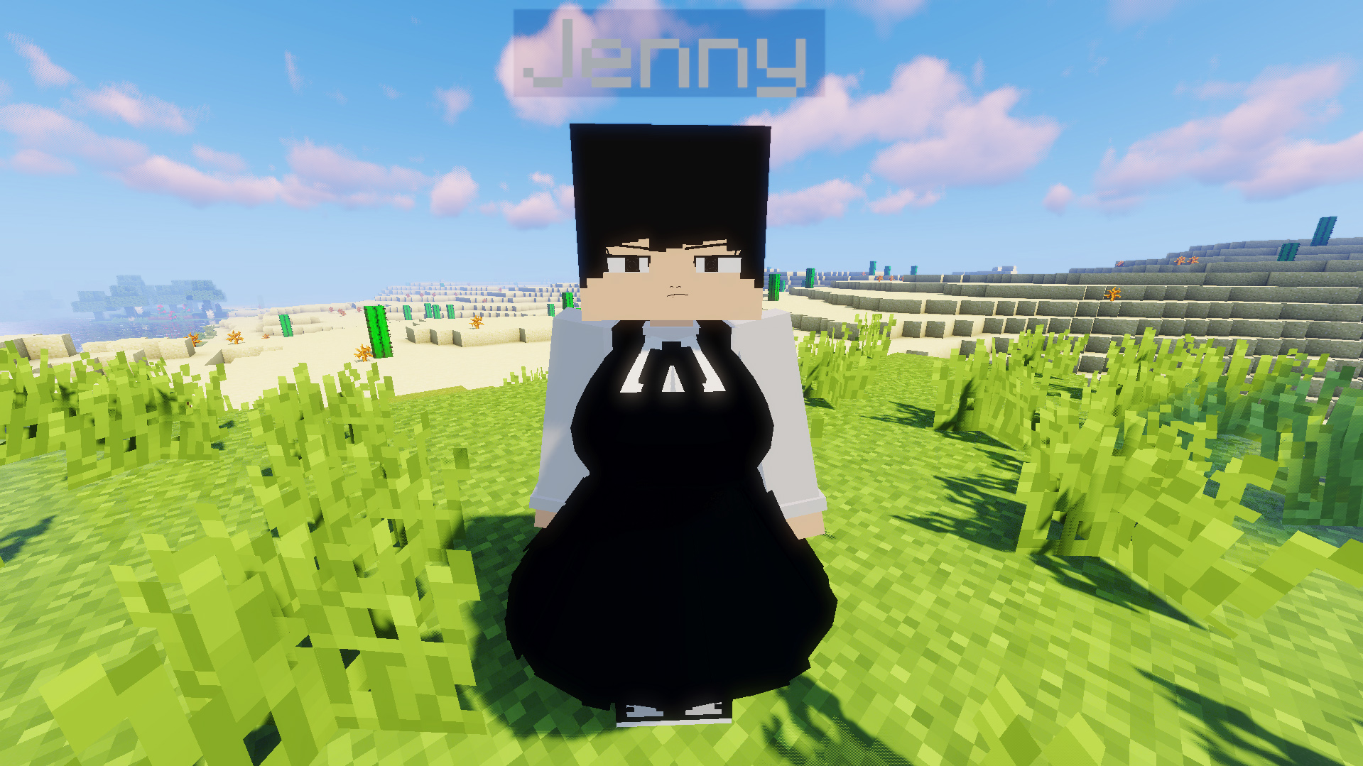 Asa Character Model for Jenny Mod