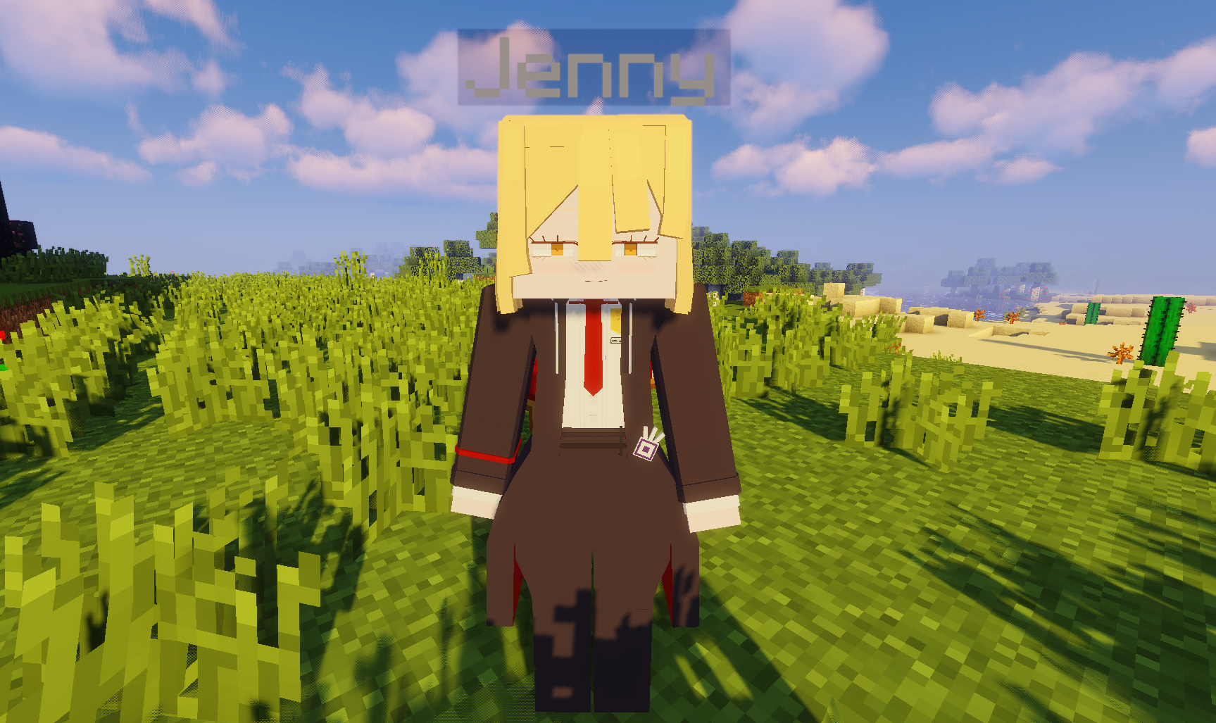 Don Quixote Character Model for Jenny Mod